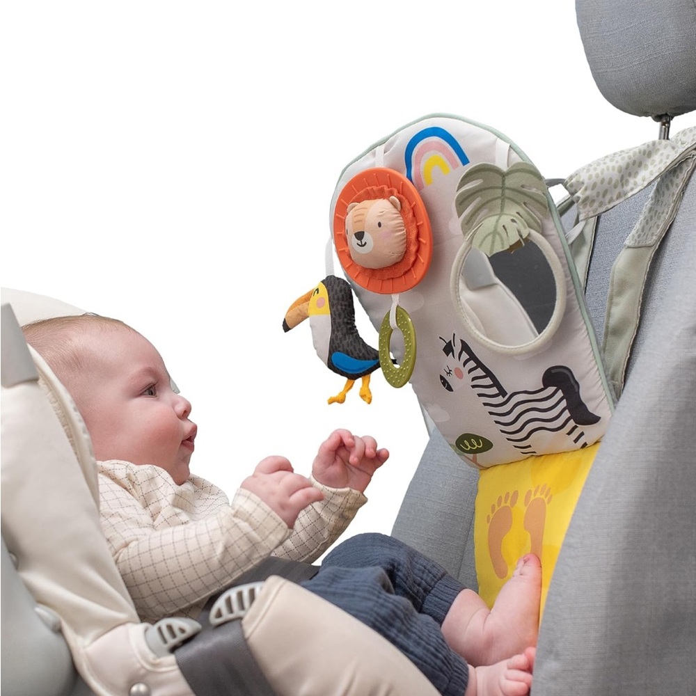 Taf Toys Play&Kick Car Toy